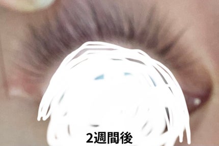 まつげ美容液EX/CEZANNE/まつげ美容液を使ったクチコミ(3枚目)