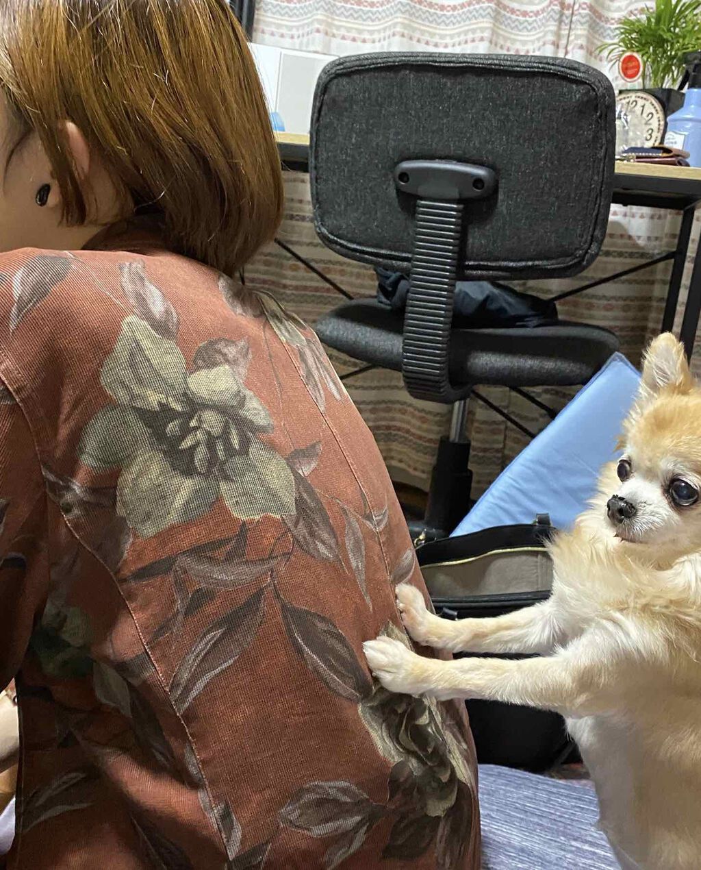 泡カラー/リーゼ/ヘアカラーを使ったクチコミ（2枚目）