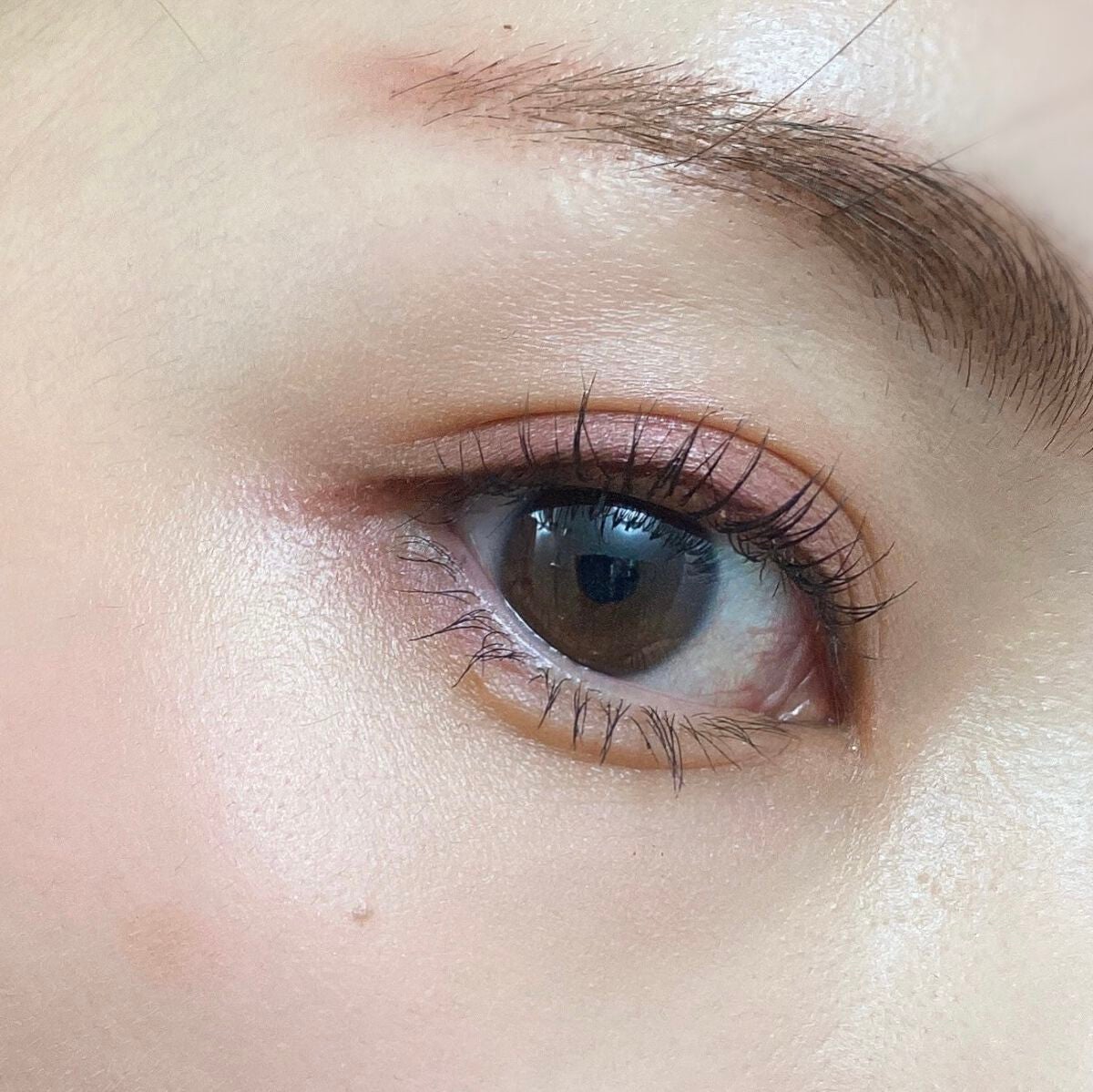 アイカラーレーション/LUNASOL/アイシャドウパレットを使ったクチコミ(4枚目)