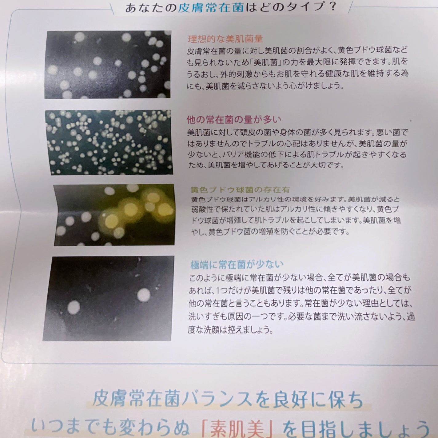 エルピダ セリア/ELPIDA/フェイスクリームを使ったクチコミ(5枚目)