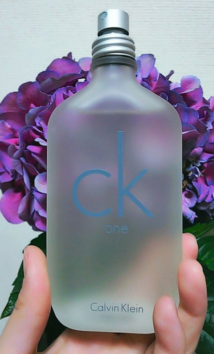 アイラッシュ カーラー/ANNA SUI/ビューラーを使ったクチコミ(4枚目)