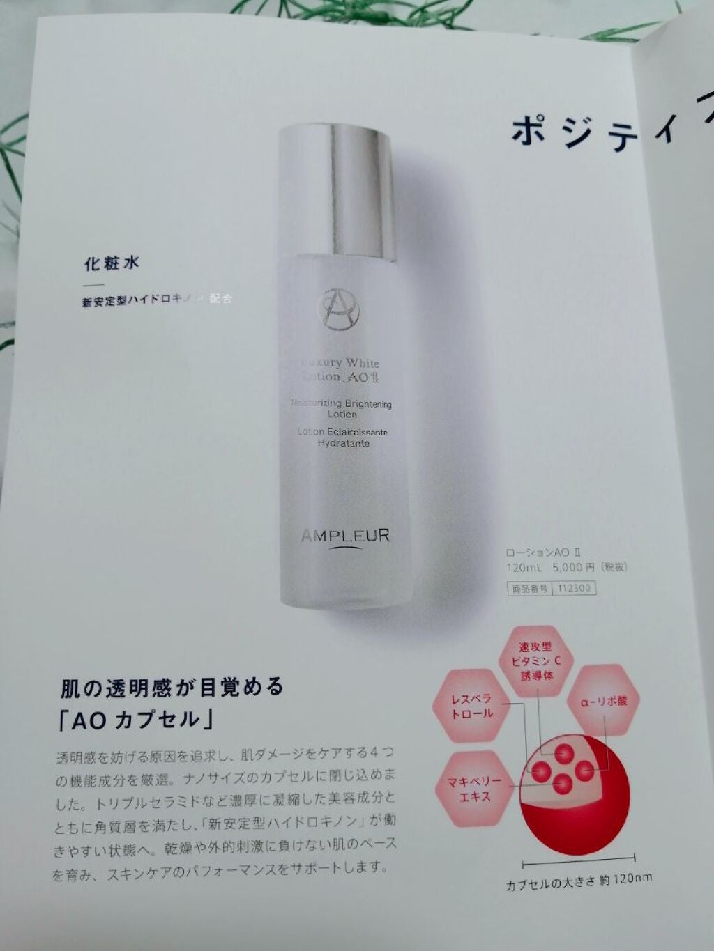 ラグジュアリーホワイト ローションAO II/アンプルール/化粧水を使ったクチコミ(2枚目)
