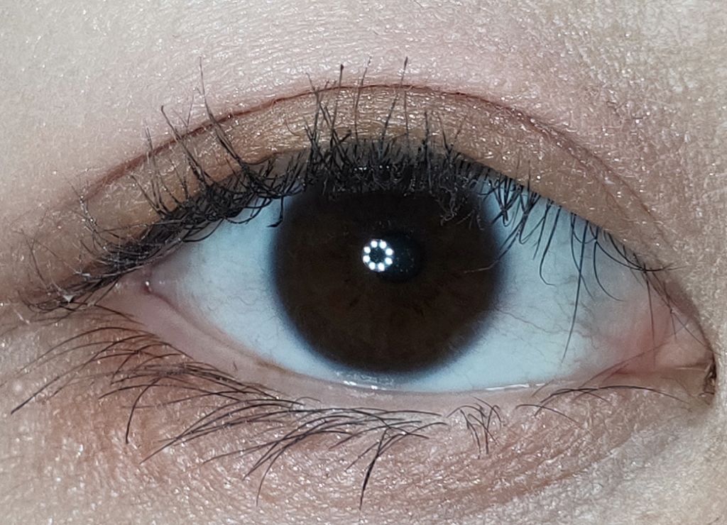 フーミー アイシャドウパレット/WHOMEE/アイシャドウパレットを使ったクチコミ(4枚目)