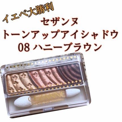 トーンアップアイシャドウ/CEZANNE/アイシャドウパレットを使ったクチコミ(1枚目)