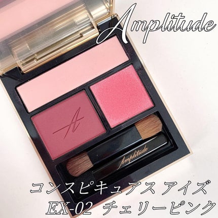 コンスピキュアス アイズ/Amplitude/アイシャドウパレットを使ったクチコミ(1枚目)