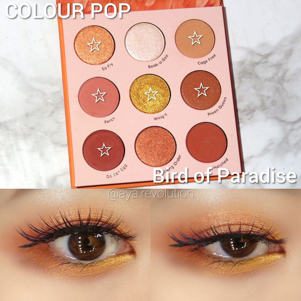 bird of Paradise/ColourPop/アイシャドウパレットを使ったクチコミ(1枚目)