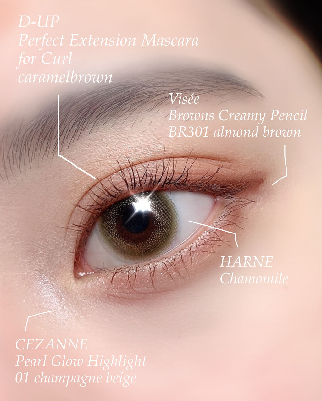 パールグロウハイライト/CEZANNE/パウダーハイライトを使ったクチコミ（3枚目）