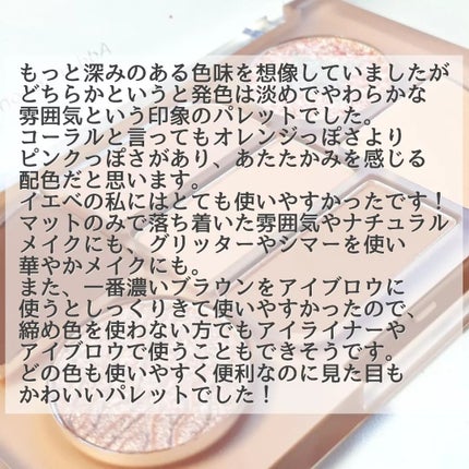 シンプレイン アイパレット/Sim;plain/アイシャドウパレットを使ったクチコミ(8枚目)