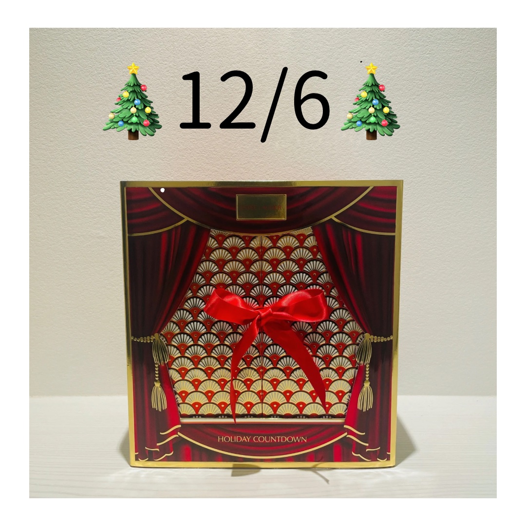 ホリデー アドベント カレンダー 2024/ESTEE LAUDER/その他キットセットを使ったクチコミ（1枚目）