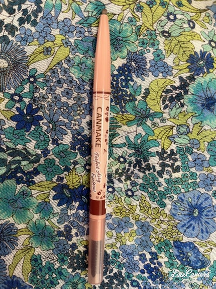 パーフェクトエアリーアイブロウ/キャンメイク/アイブロウペンシルを使ったクチコミ(1枚目)