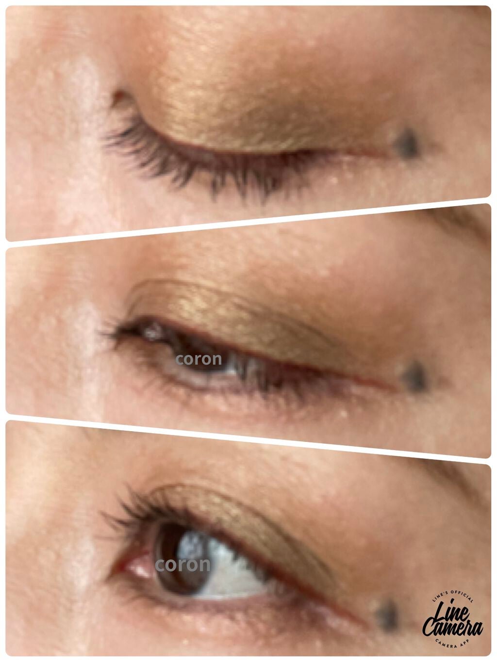 キャメルパレット/Natasha Denona/アイシャドウパレットを使ったクチコミ(2枚目)