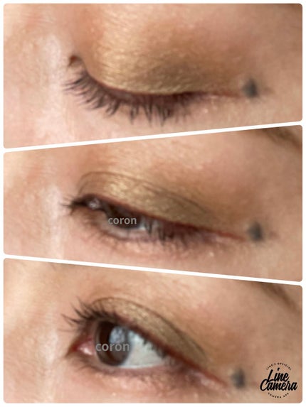 キャメルパレット/Natasha Denona/アイシャドウパレットを使ったクチコミ(2枚目)