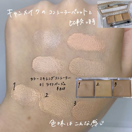 トーンパーフェクティング パレット/DECORTÉ/パレットコンシーラーを使ったクチコミ(3枚目)