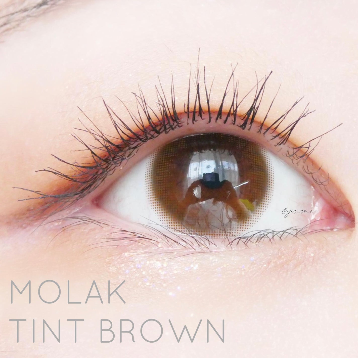 MOLAK 1day/MOLAK/ワンデー(1DAY)カラコンを使ったクチコミ(1枚目)