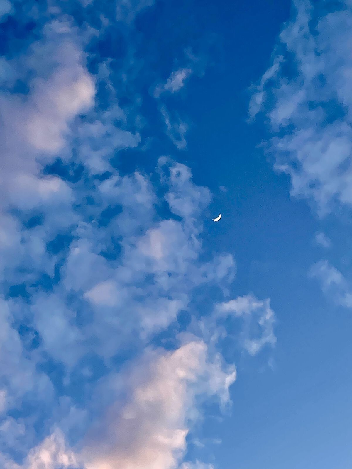 超細芯アイブロウ/CEZANNE/アイブロウペンシルを使ったクチコミ（1枚目）