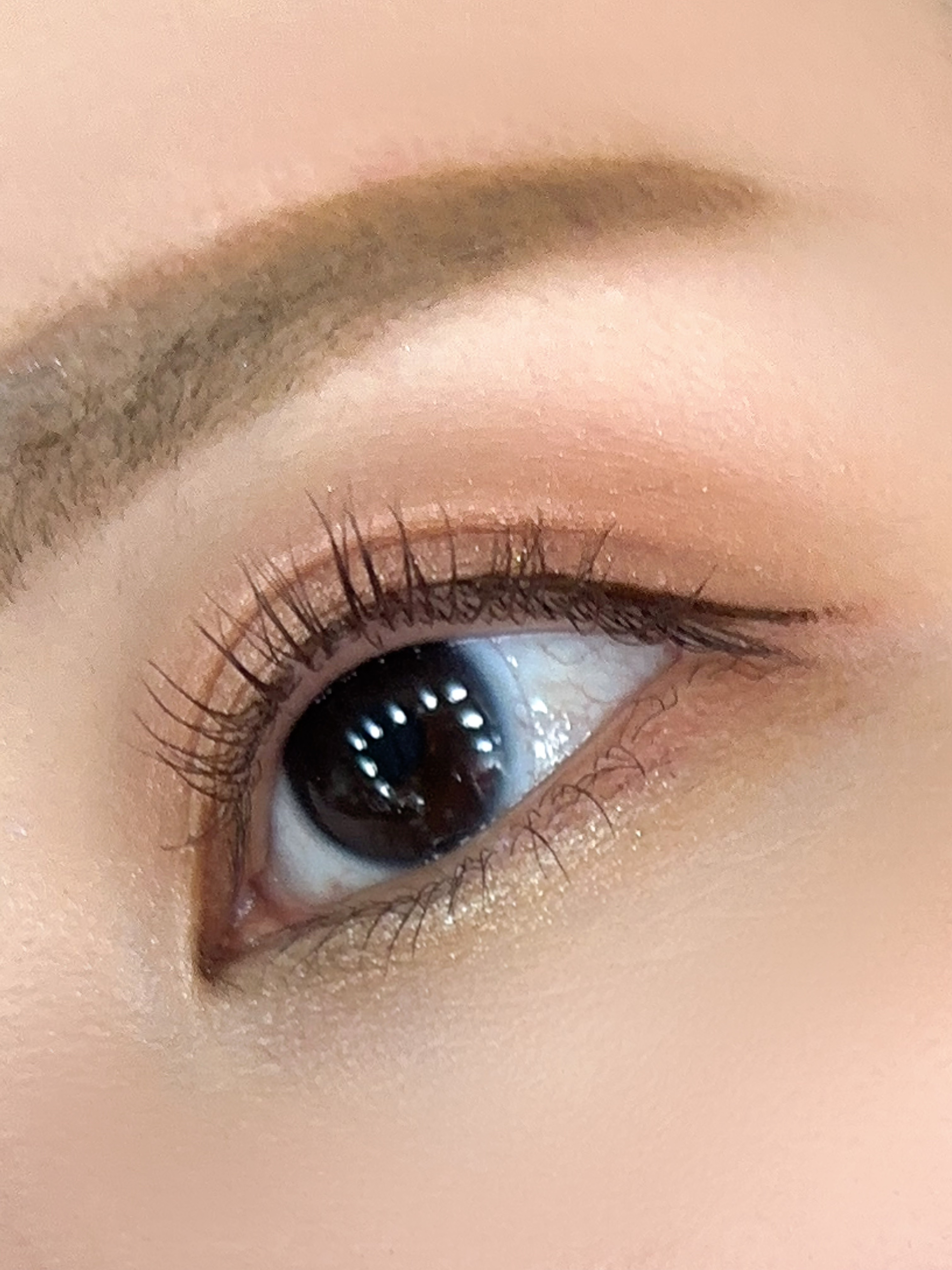 エクスプローラ12色 動物アイシャドウパレット/PERFECT DIARY/アイシャドウパレットを使ったクチコミ（3枚目）