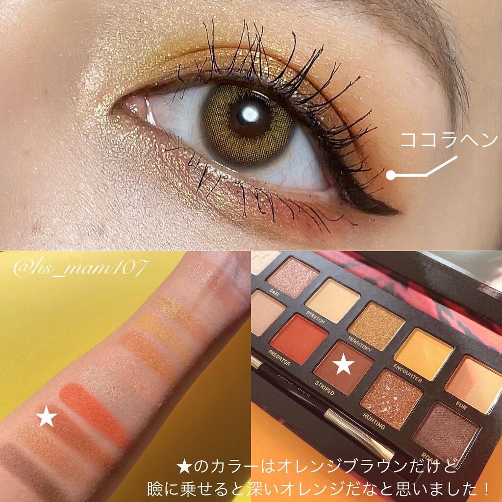 エクスプローラ12色 動物アイシャドウパレット/PERFECT DIARY/アイシャドウパレットを使ったクチコミ(3枚目)