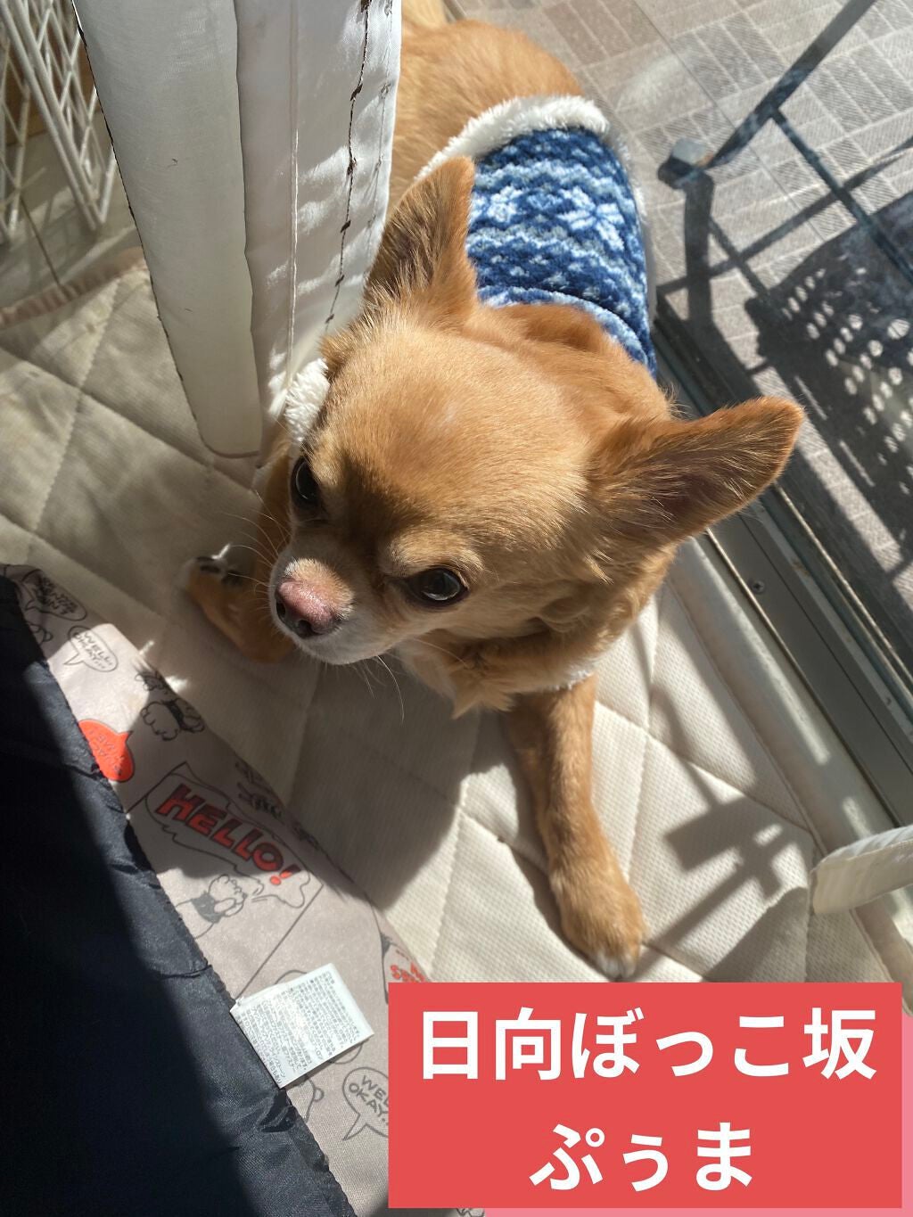 ポーラザハンドクリーム/POLA/ハンドクリームを使ったクチコミ(9枚目)