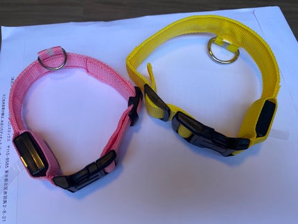 光る首輪/Qoo10/その他を使ったクチコミ(8枚目)