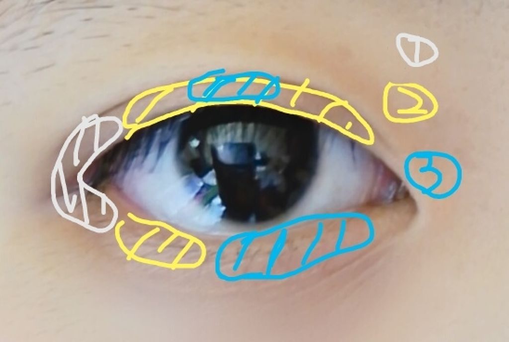 カンコレアイシャドウ/DAISO/アイシャドウパレットを使ったクチコミ（3枚目）