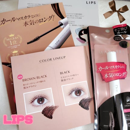 ハイパーリフトマスカラ/D-UP/マスカラを使ったクチコミ(1枚目)