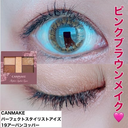パーフェクトスタイリストアイズ/キャンメイク/アイシャドウパレットを使ったクチコミ(1枚目)