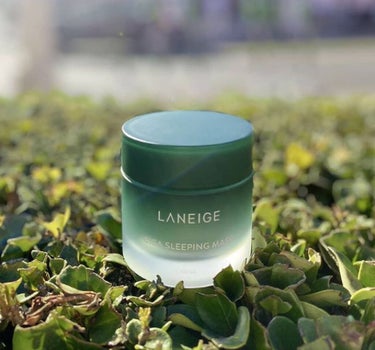 シカスリーピングマスク/LANEIGE/フェイスクリームを使ったクチコミ（1枚目）