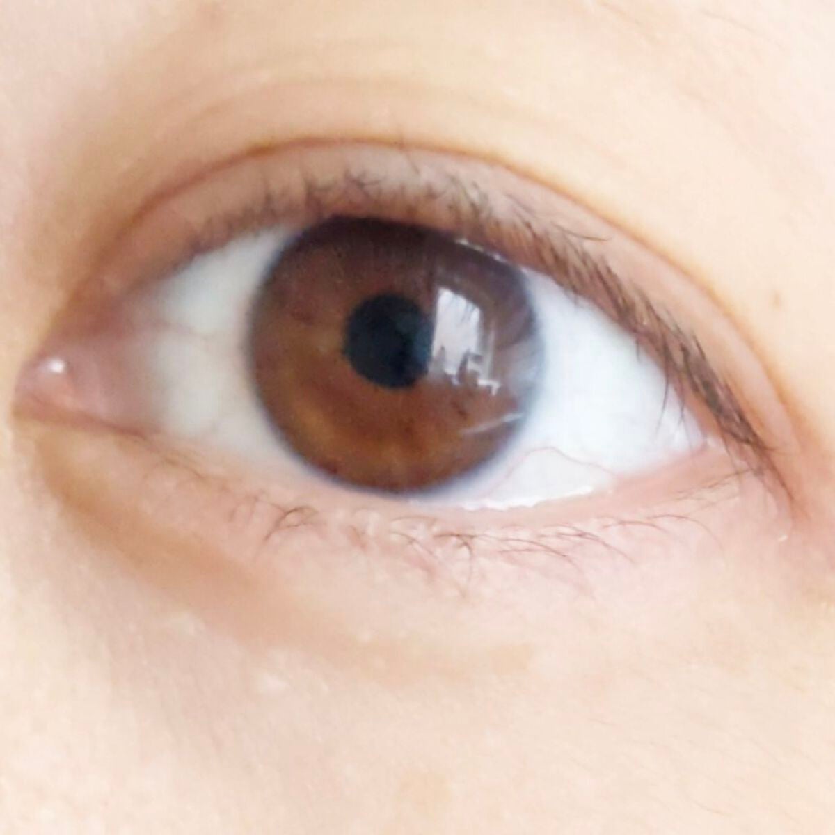 WAVEワンデー UV リング プラス フラワーコレクション/WAVE/ワンデー(1DAY)カラコンを使ったクチコミ(4枚目)