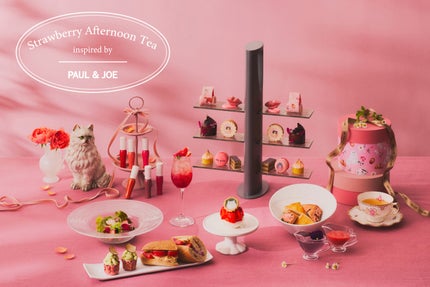 グロッシー ルージュ/PAUL & JOE BEAUTE/口紅を使ったクチコミ(1枚目)