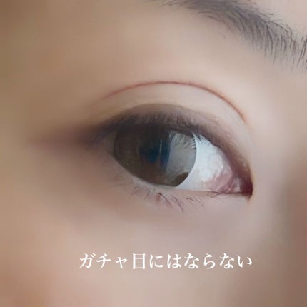 LUCIA 1DAY アーモンドブラウン/LUCIA/ワンデー(1DAY)カラコンの画像