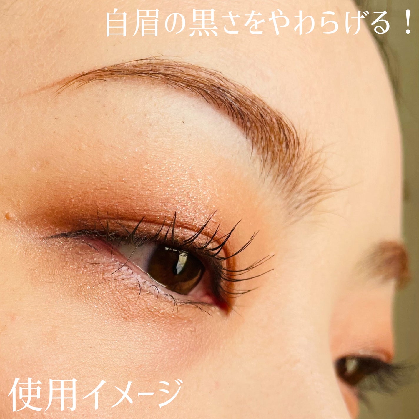 エテュセ アイエディション(ブロウコンシーラー)/ettusais/その他アイブロウを使ったクチコミ(3枚目)