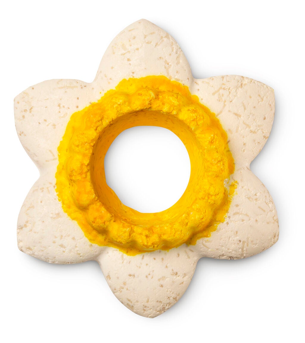 シンギング ダフォディル ラッシュ