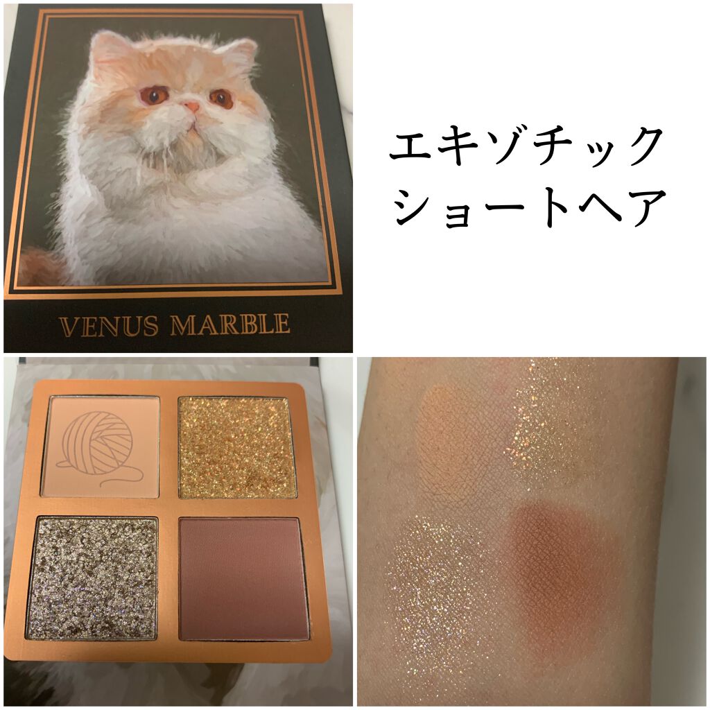 Venus Marble アイシャドウキャットシリーズ/Venus Marble/アイシャドウパレットを使ったクチコミ(3枚目)