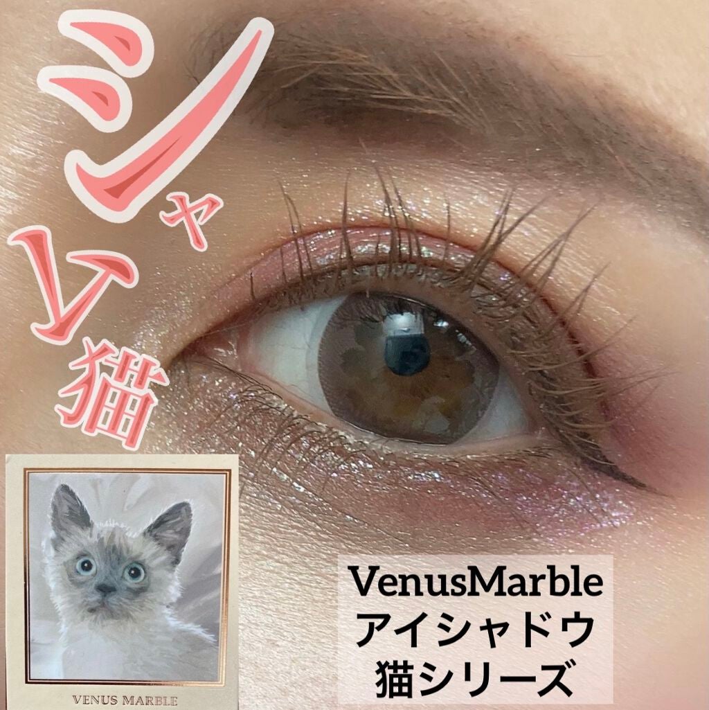 Venus Marble アイシャドウキャットシリーズ/Venus Marble/アイシャドウパレットを使ったクチコミ(1枚目)