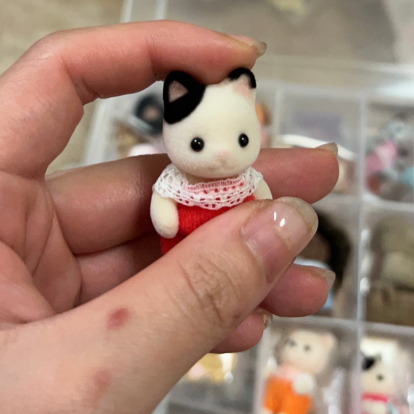 しに子ちゃん on LIPS 「ハローみなさまこんばんわ、アレルギー爆血して鼻血が止まらないし..」(9枚目)