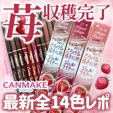 キャンメイク クリーミータッチライナーのクチコミ「保存推奨最新全色レポ✨みんなは🍓収穫できた?!大人気クリーミータッチライナー✍️

キャンメイ.....」（1枚目）