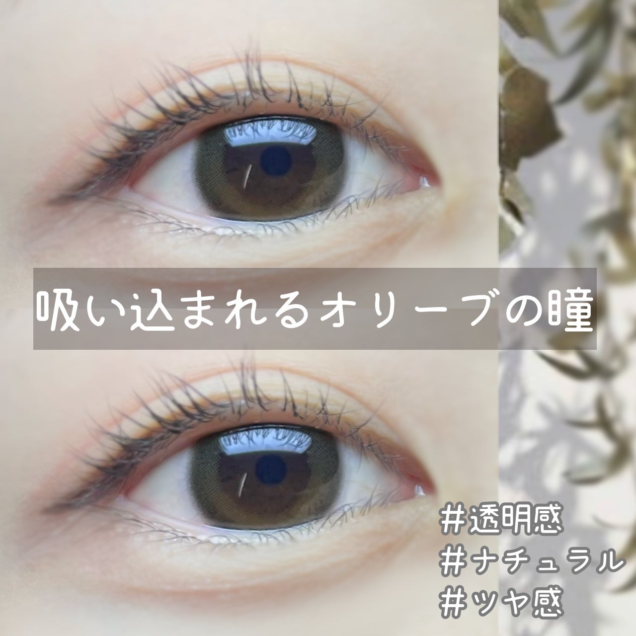 ワンデーリフレアビジュー/Refrear/ワンデー(1DAY)カラコンを使ったクチコミ(1枚目)