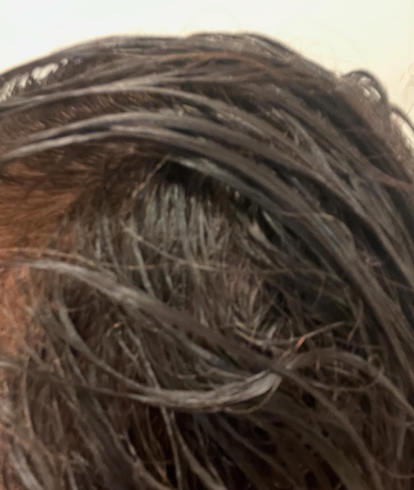 ウエラトーン エッセンスイン カラートリートメント/ウエラ/ヘアカラーを使ったクチコミ（3枚目）