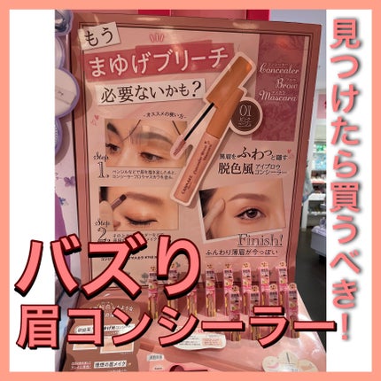 コンシーラーブロウマスカラ/キャンメイク/その他アイブロウを使ったクチコミ(1枚目)