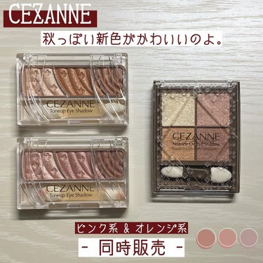 トーンアップアイシャドウ/CEZANNE/アイシャドウパレットを使ったクチコミ（1枚目）