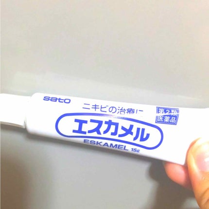 エスカメル(医薬品)/佐藤製薬/その他を使ったクチコミ(1枚目)