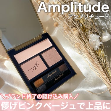 コンスピキュアス アイズ/Amplitude/アイシャドウパレットを使ったクチコミ（1枚目）