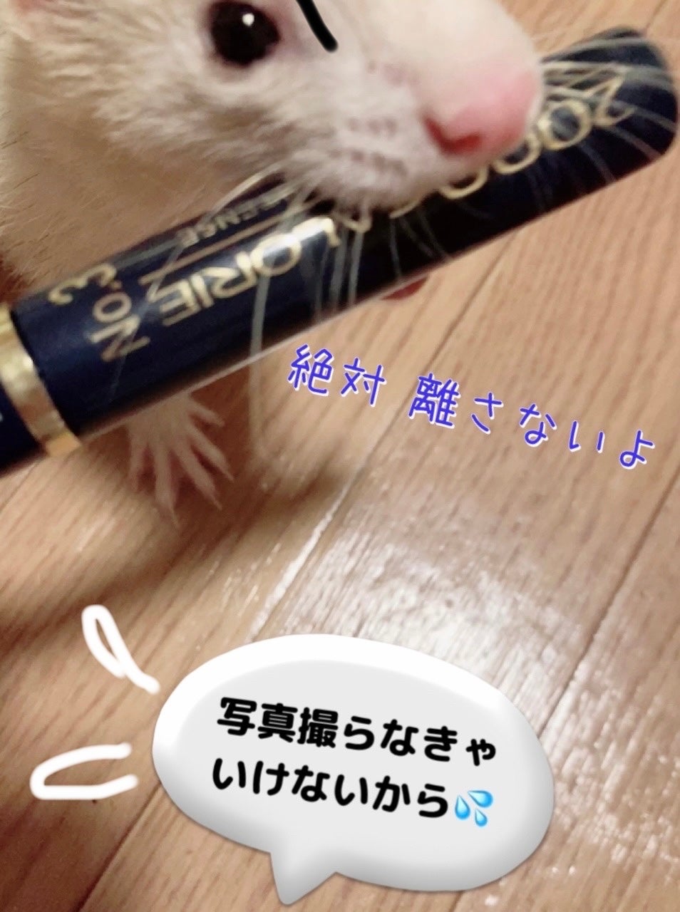 ゆぽぽㄘゃん(フォロバ100) on LIPS 「今月の使い切りコスメちゃんは、マックスファクターのマスカラです..」(3枚目)