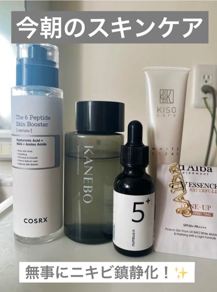 ウォータフルトーンアップサンクリーム/ダルバ/日焼け止めクリームを使ったクチコミ(1枚目)