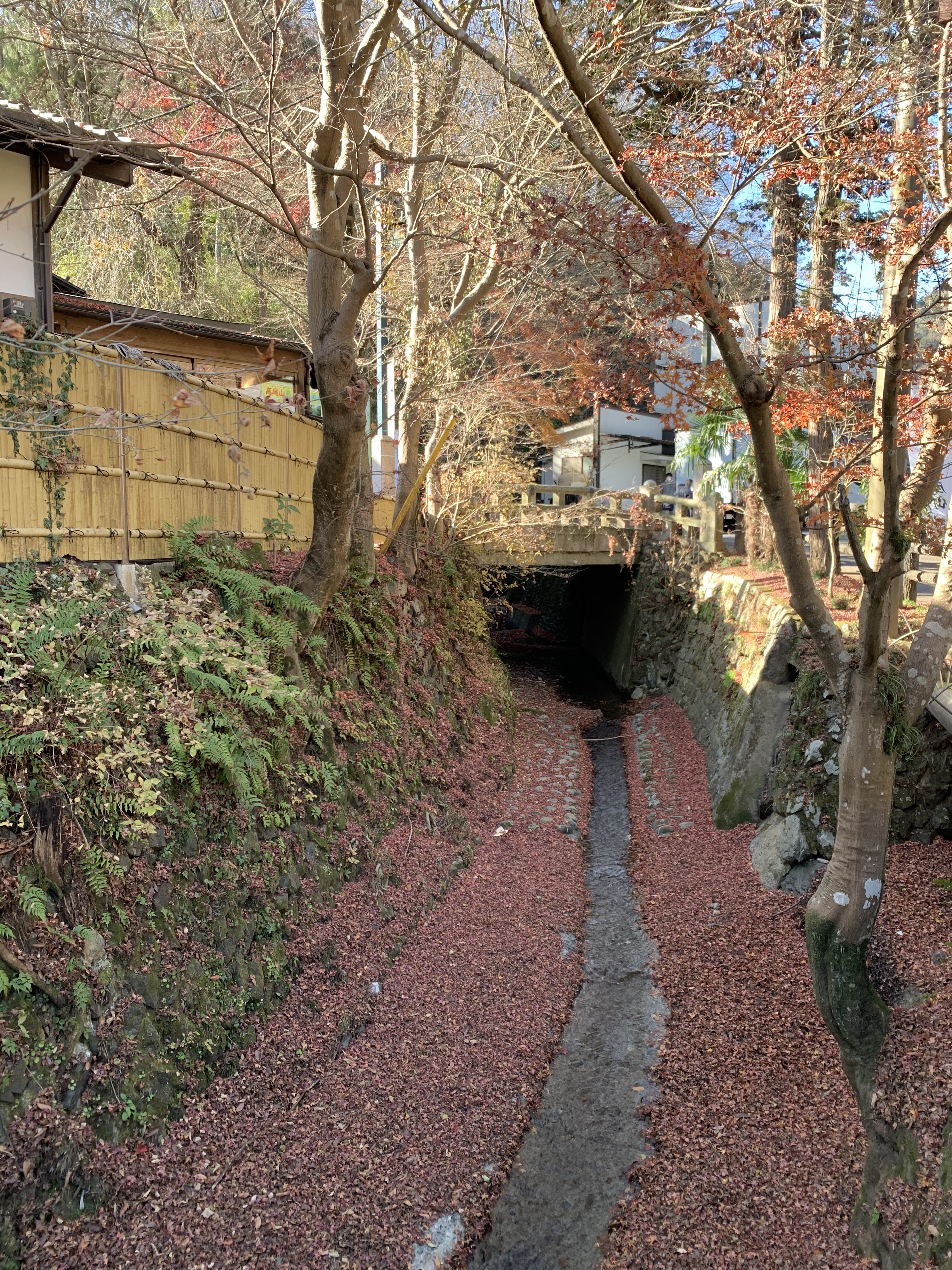 ベリーデリシャス クリームチーク PK001/ETUDE/ジェル・クリームチークを使ったクチコミ（2枚目）