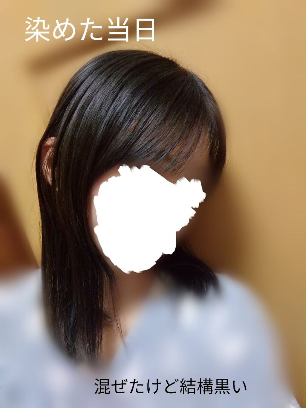 リーゼのヘアカラー 泡カラー 泡カラー 髪色もどしを使った口コミ 金髪から 黒染め ブリーチ1回 毛先は明るい黄ブラウン 頭頂部はミルクティーベージュ By Haru 乾燥肌 10代後半 Lips リーゼのヘアカラー 泡カラー 泡カラー 髪色もどしを使った口コミ 金髪から 黒染め ブリーチ1回 毛先は明るい黄ブラウン 頭頂部はミルクティーベージュ By Haru 乾燥肌 10代後半 Lips