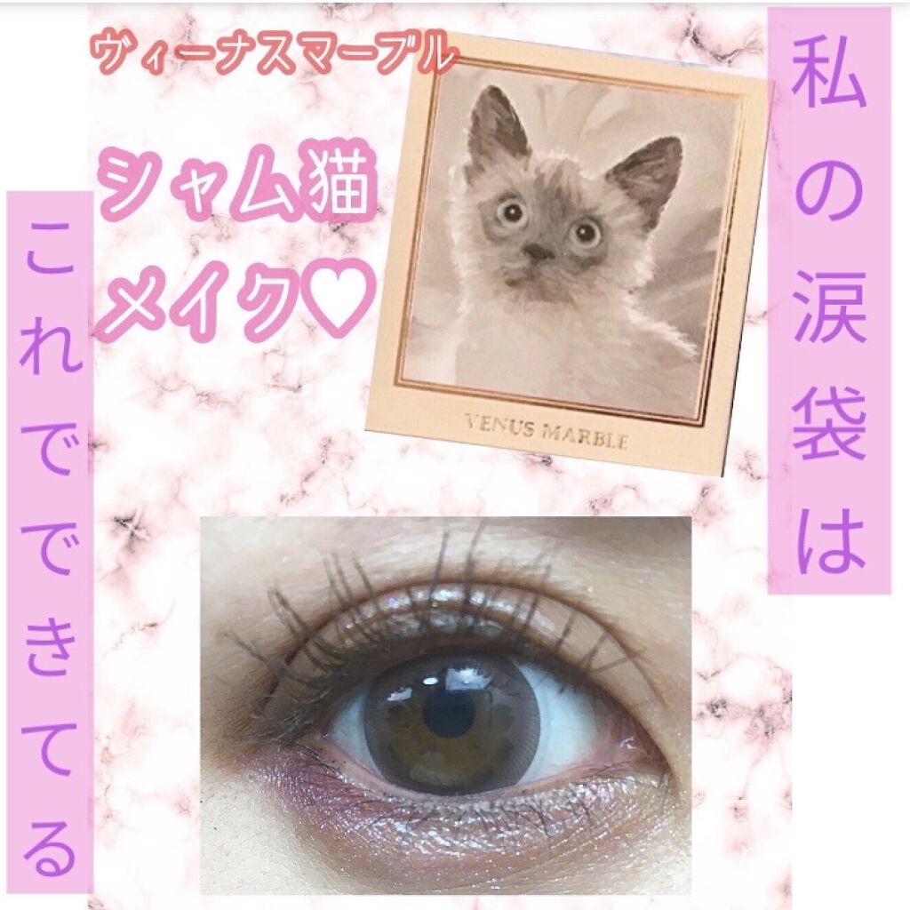 Venus Marble アイシャドウキャットシリーズ シャム猫/Venus Marble/アイシャドウパレットを使ったクチコミ（1枚目）