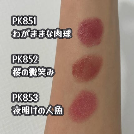 ネンマクフェイク ルージュ/Visée/口紅を使ったクチコミ(3枚目)