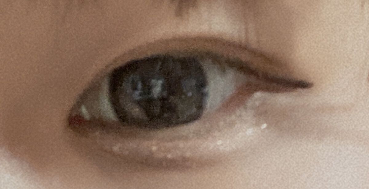 Twinkle Eyes 1day＜ピーチシリーズ＞/TwinkleEyes/ワンデー（１DAY）カラコンを使ったクチコミ（3枚目）