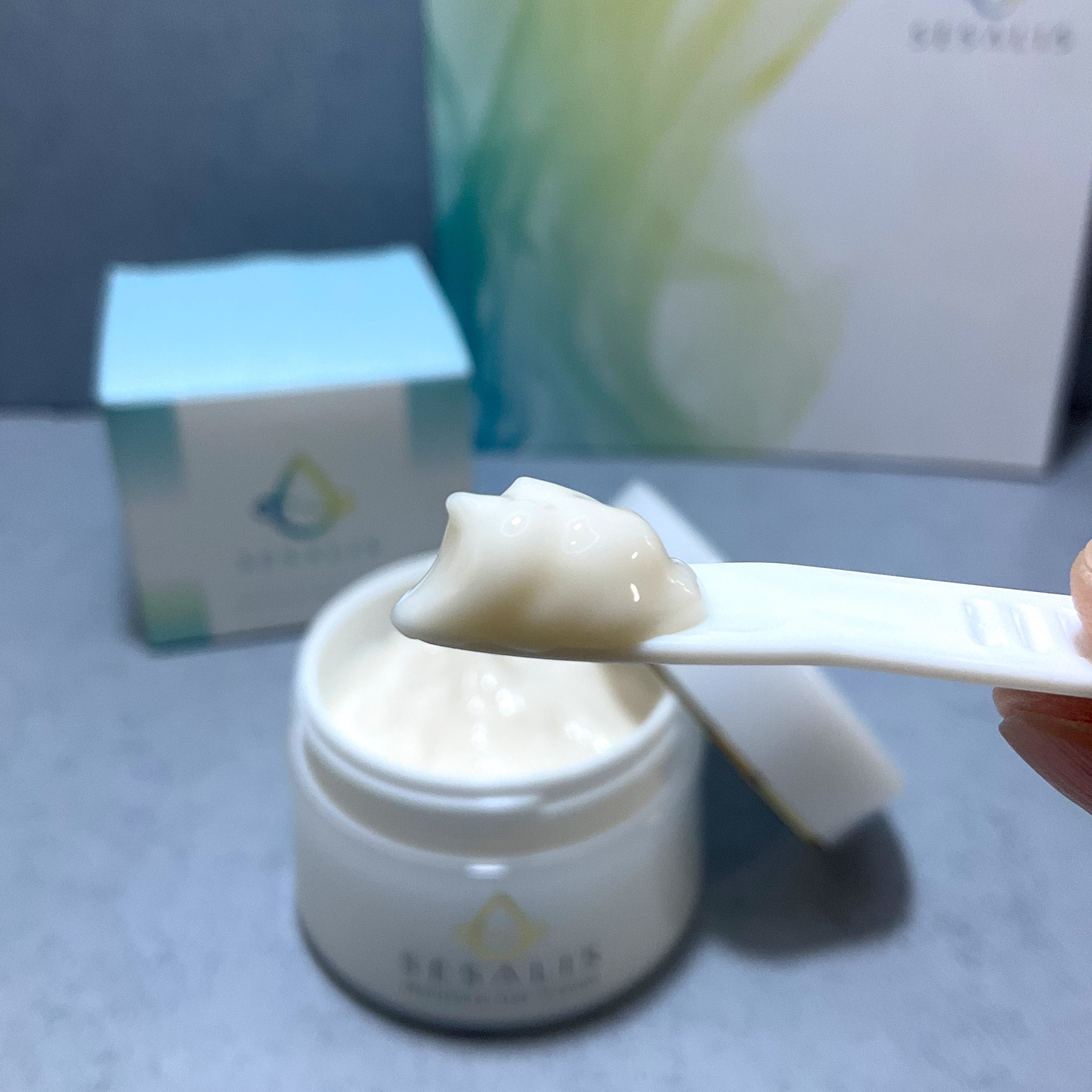 モイスチャージェルクリーム/SESALIS/フェイスクリームを使ったクチコミ（3枚目）